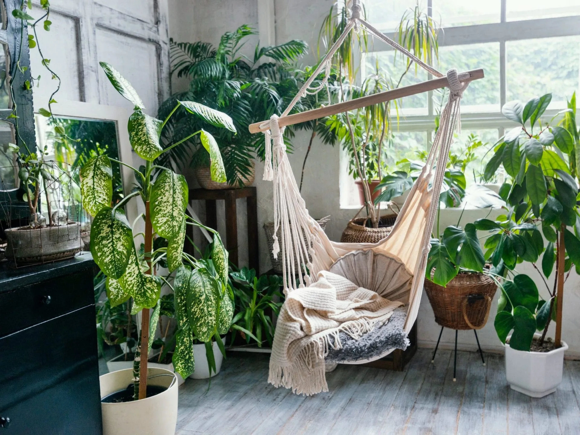 Biophilic Design